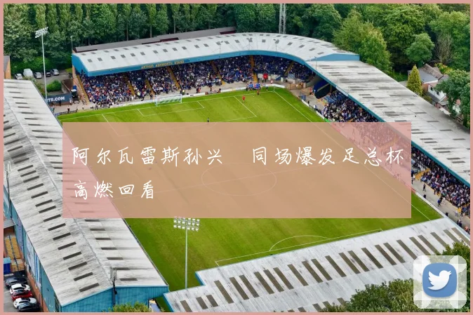 阿尔瓦雷斯孙兴慜同场爆发足总杯高燃回看