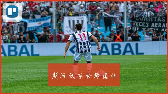 斯洛伐克会师南非