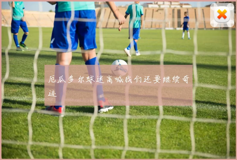 厄瓜多尔球迷高喊我们还要继续奇迹
