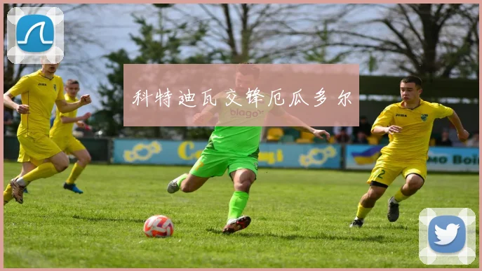 科特迪瓦交锋厄瓜多尔