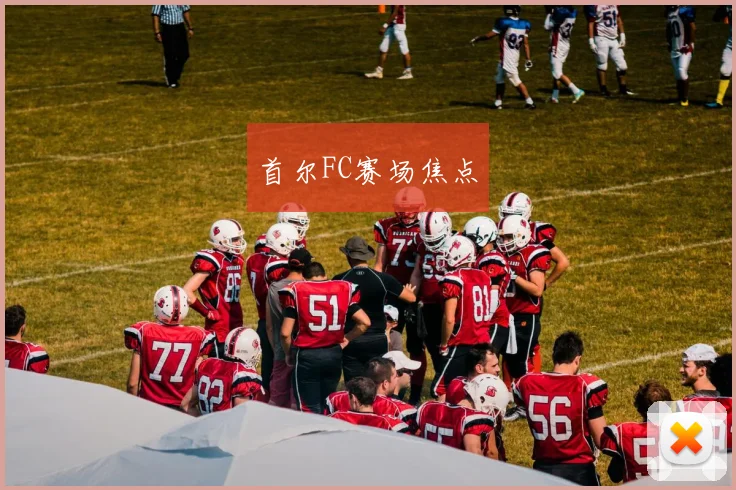 首尔FC赛场焦点