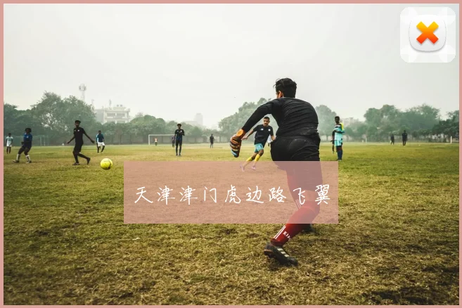 天津津门虎边路飞翼