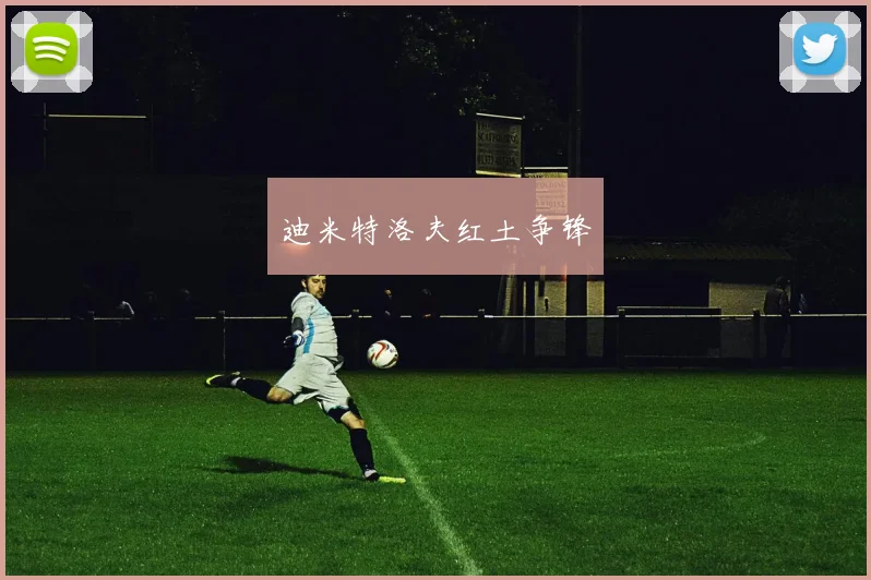 迪米特洛夫红土争锋