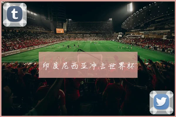 印度尼西亚冲击世界杯