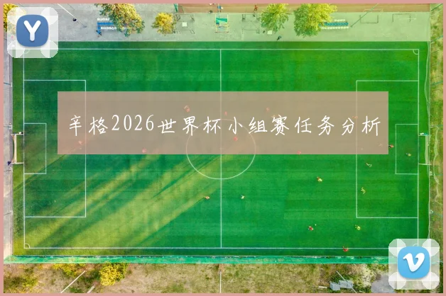 辛格2026世界杯小组赛任务分析