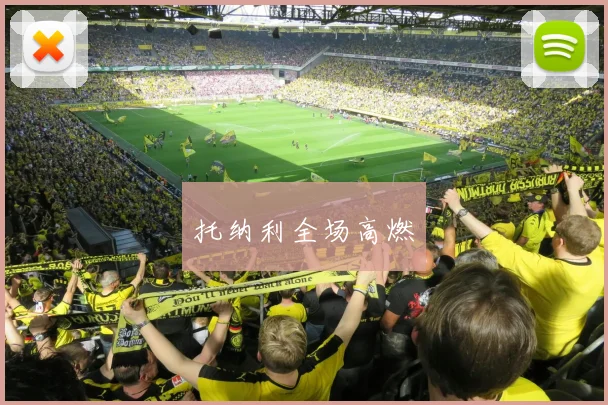 托纳利全场高燃