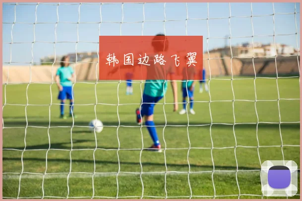 韩国边路飞翼