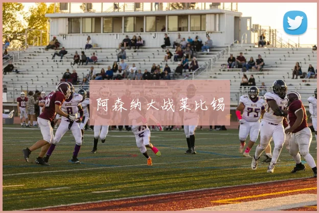 阿森纳大战莱比锡