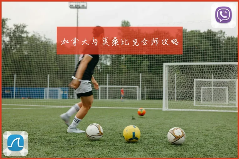 加拿大与莫桑比克会师攻略