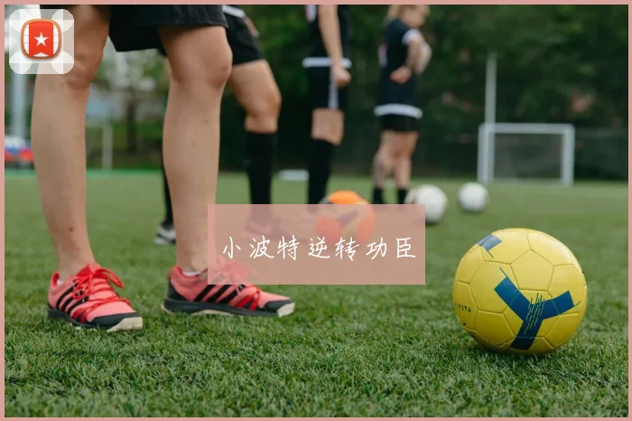 小波特逆转功臣