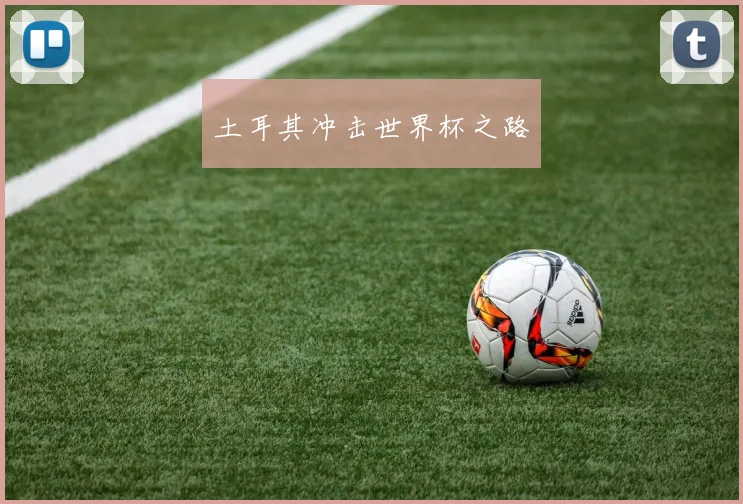 土耳其冲击世界杯之路