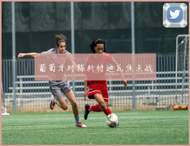 葡萄牙对阵科特迪瓦焦点战