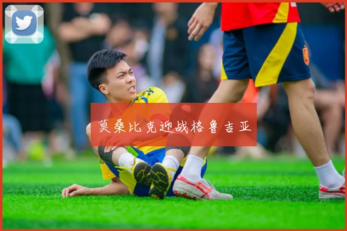 莫桑比克迎战格鲁吉亚