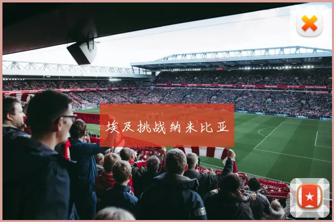 埃及挑战纳米比亚