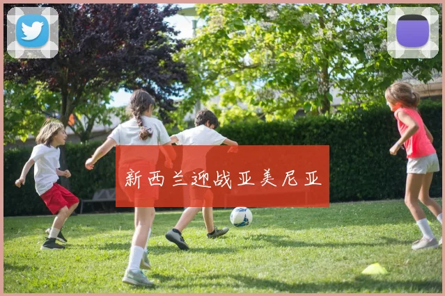 新西兰迎战亚美尼亚