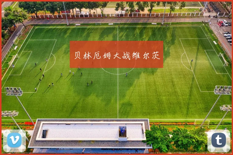 贝林厄姆大战维尔茨