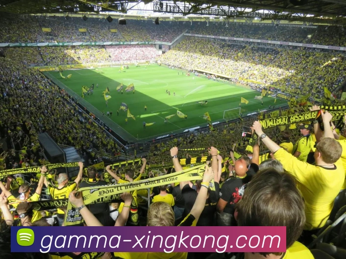 6月11日南非vs墨西哥战术演练