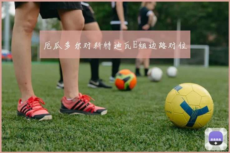 厄瓜多尔对科特迪瓦E组边路对位