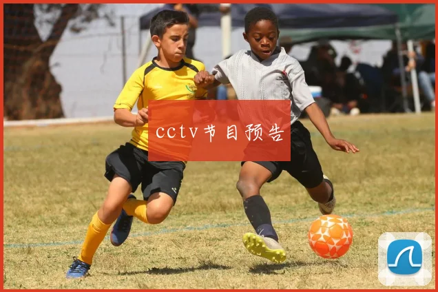 cctv节目预告