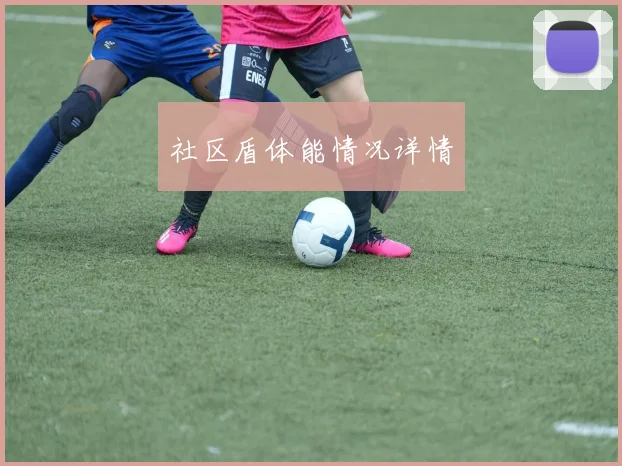 社区盾体能情况详情