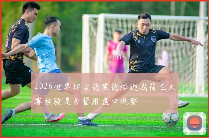 2026世界杯古德蒙德松迎战荷兰大赛经验是否管用盘口观察